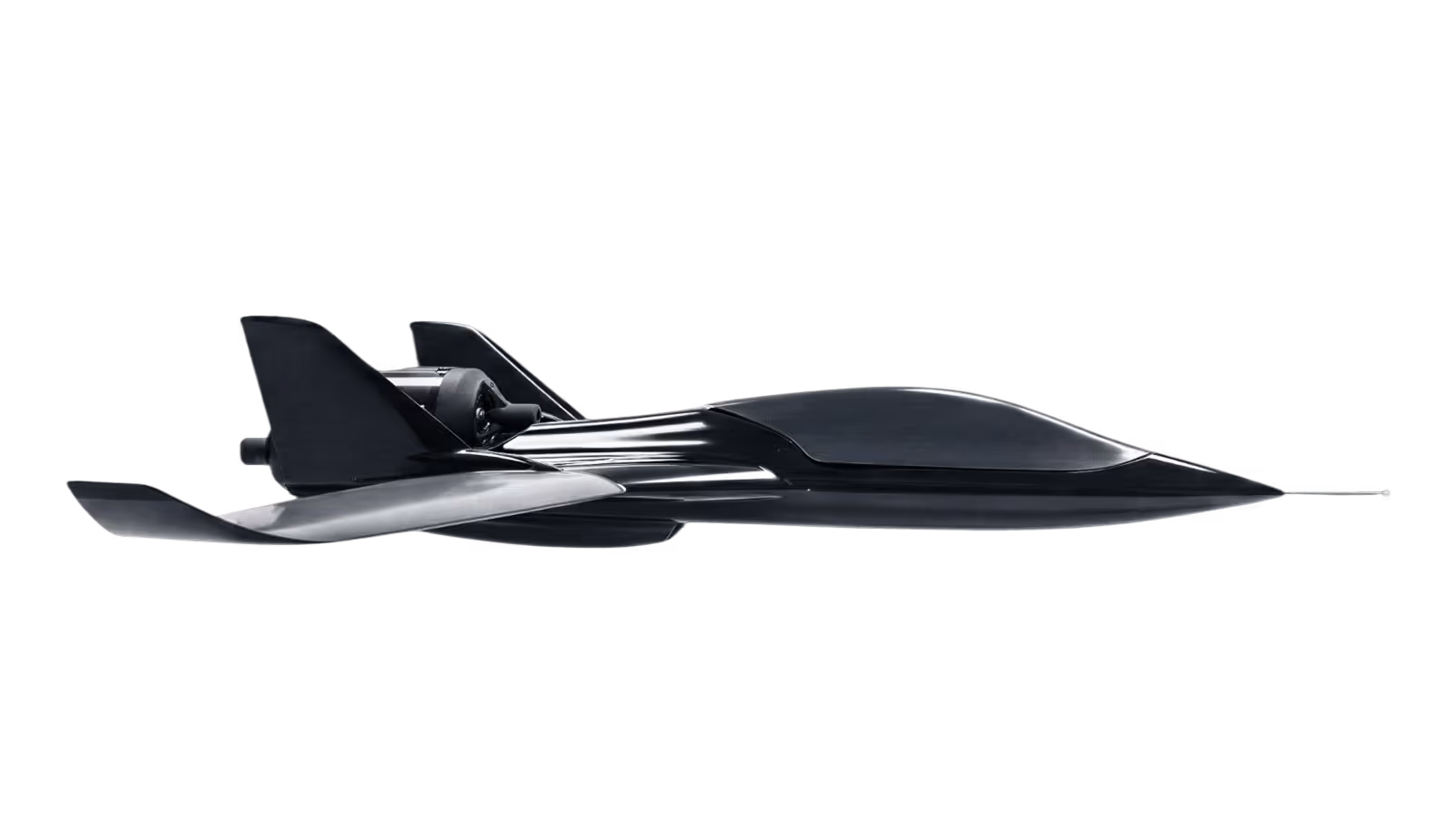 Black Bird