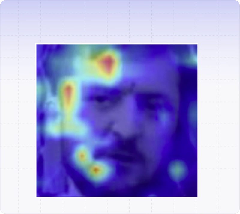 Face Manipulation Detection